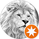 Guillaume H. profile picture